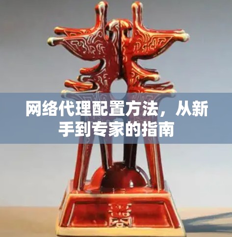 网络代理配置方法,从新手到专家的指南 网络代理配置方法,从新手到专家的指南