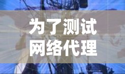 为了测试网络代理工具的稳定性，可以从以下几个方面入手，确保工具在断线、网络连接、可扩展性、响应时间、缓存和内存、错误处理、中断重试、性能、易用性、可维护性、扩展性等多方面进行测试
