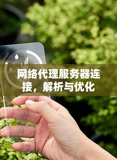 网络代理服务器连接，解析与优化