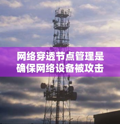 网络穿透节点管理是确保网络设备被攻击的风险得到有效防范的步骤。以下是对这一过程的详细说明，涵盖从确定节点到持续监控的各个方面