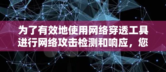 为了有效地使用网络穿透工具进行网络攻击检测和响应，您可以按照以下步骤进行