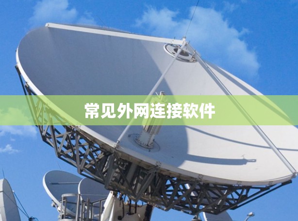 常见外网连接软件