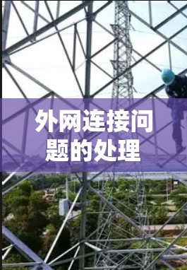 外网连接问题的处理步骤如下