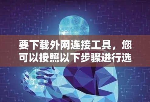 要下载外网连接工具，您可以按照以下步骤进行选择和下载