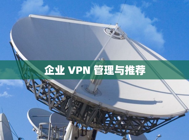 企业 VPN 管理与推荐