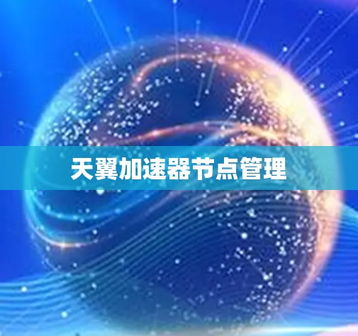天翼加速器节点管理