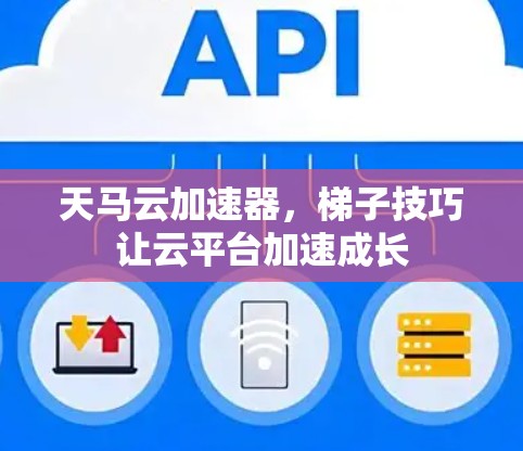 天马云加速器，梯子技巧让云平台加速成长