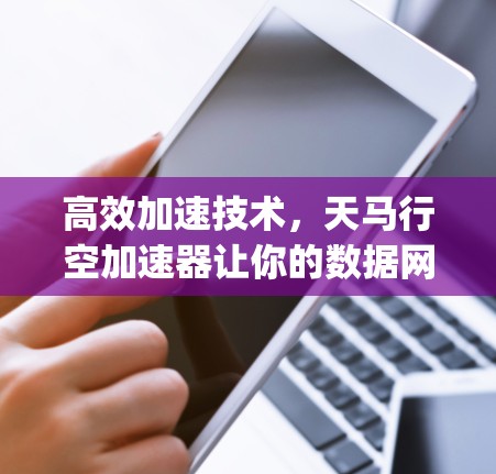 高效加速技术，天马行空加速器让你的数据网络如 pro