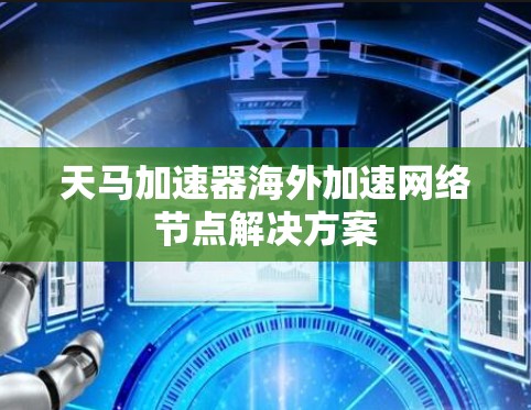 天马加速器海外加速网络节点解决方案