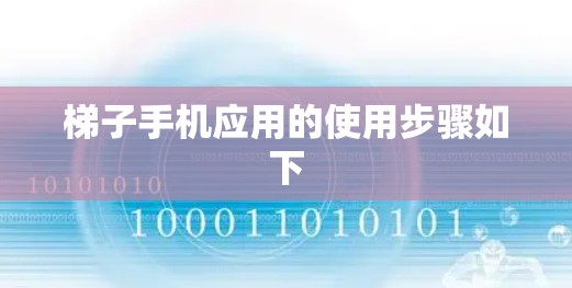 梯子手机应用的使用步骤如下