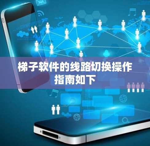 梯子软件的线路切换操作指南如下