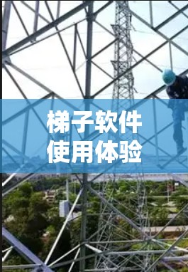 梯子软件使用体验，全面解析与优化建议