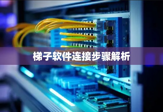 梯子软件连接步骤解析