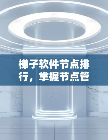 梯子软件节点排行，掌握节点管理，提升软件性能