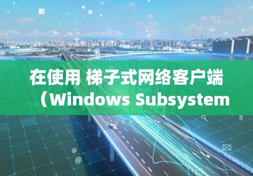 在使用 梯子式网络客户端（Windows Subsystem for Nodes，SSN）进行网络测试时，以下是一些详细的步骤和注意事项，帮助您顺利完成测试