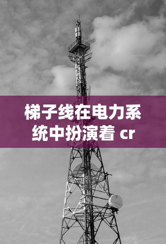 梯子线在电力系统中扮演着 crucial role，是连接设备的通道，确保系统稳定运行。以下是对其重要性的详细分析
