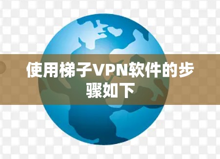 使用梯子VPN软件的步骤如下