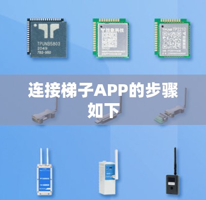 连接梯子APP的步骤如下