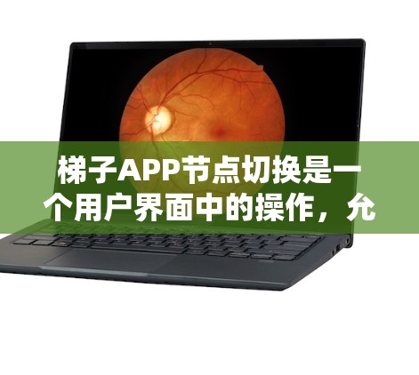 梯子APP节点切换是一个用户界面中的操作，允许用户在不同的节点上进行不同功能的切换。以下是详细的步骤