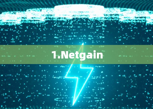 1.Netgain
