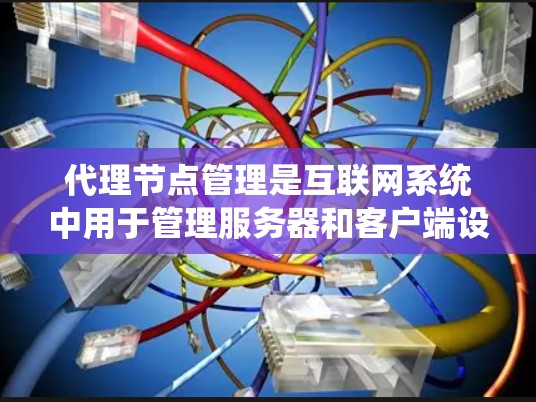 代理节点管理是互联网系统中用于管理服务器和客户端设备的一种方式。以下是详细的解释和步骤