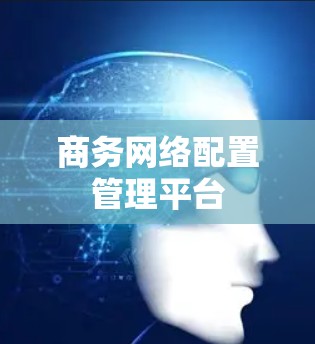 商务网络配置管理平台