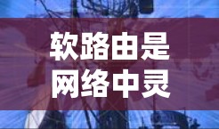 软路由是网络中灵活管理网络路由的工具，允许在动态变化时动态管理路由规则。以下是软路由配置的教程，涵盖从配置到管理的关键步骤
