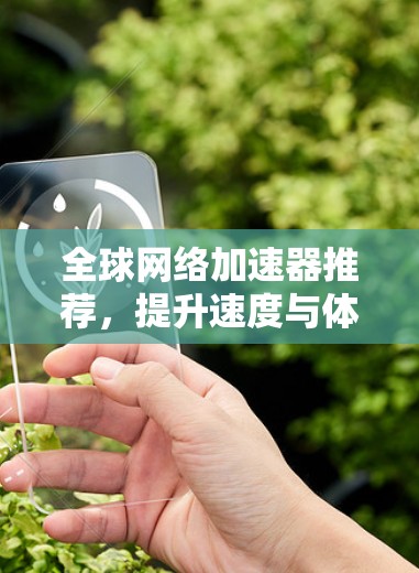 全球网络加速器推荐，提升速度与体验的必备工具