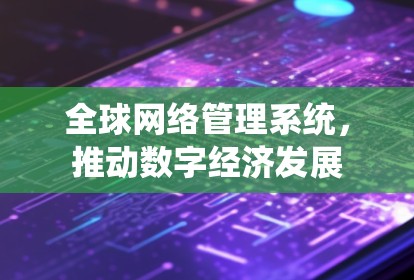 全球网络管理系统，推动数字经济发展