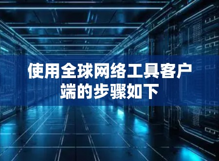 使用全球网络工具客户端的步骤如下