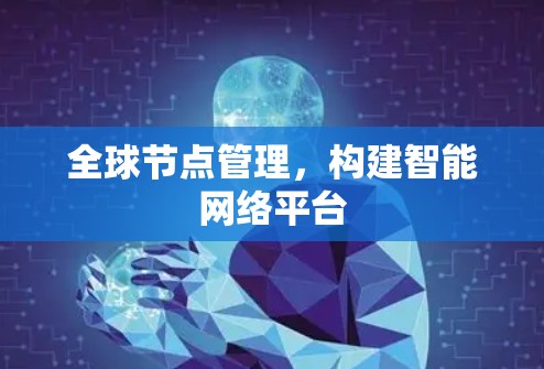 全球节点管理，构建智能网络平台