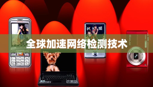 全球加速网络检测技术