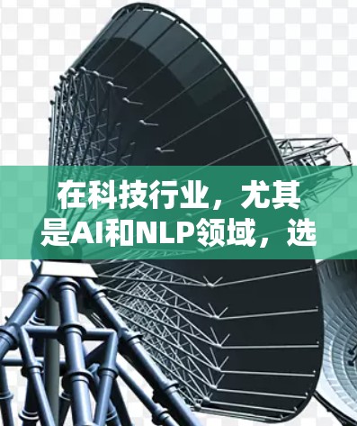 在科技行业，尤其是AI和NLP领域，选择合适的加速器至关重要，以满足不同开发需求。以下是对科技行业常用的加速器的分类和总结
