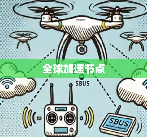 全球加速节点