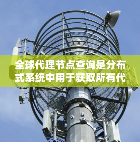全球代理节点查询是分布式系统中用于获取所有代理节点状态的高级查询工具。以下是对该查询的详细分析