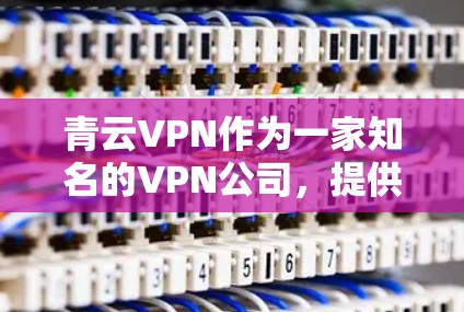 青云VPN作为一家知名的VPN公司，提供了一系列适合不同用户需求的解决方案。以下是针对稳定性的详细分析