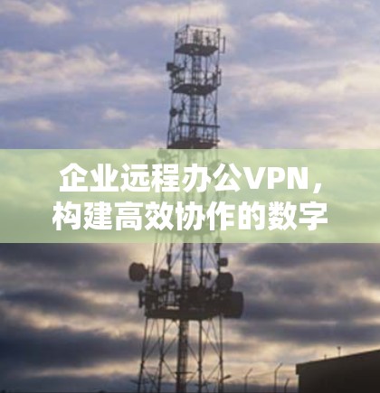 企业远程办公VPN，构建高效协作的数字世界