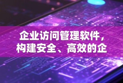 企业访问管理软件，构建安全、高效的企业网络管理平台