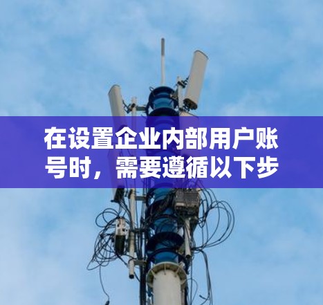 在设置企业内部用户账号时，需要遵循以下步骤，确保用户能够安全访问企业内部网络