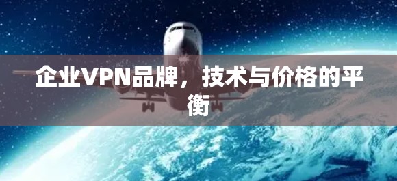 企业VPN品牌，技术与价格的平衡