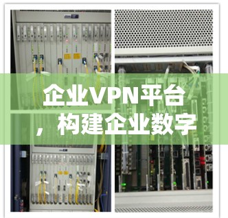 企业VPN平台，构建企业数字化管理新范式