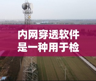 内网穿透软件是一种用于检测、阻止和限制网站内网访问的软件工具。以下是一些常见的内网穿透软件推荐，涵盖了多种平台和功能需求