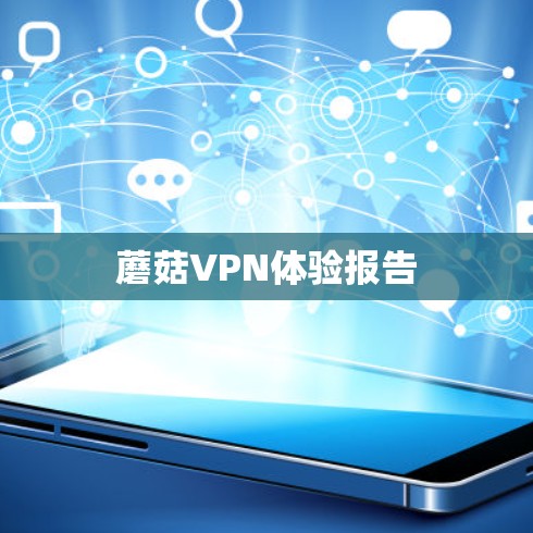 蘑菇VPN体验报告