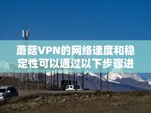 蘑菇VPN的网络速度和稳定性可以通过以下步骤进行测试和分析
