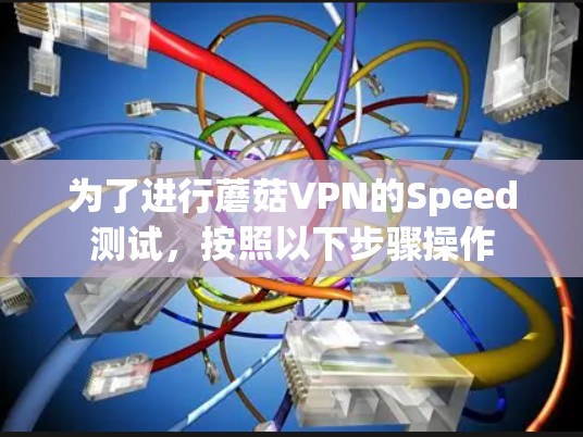 为了进行蘑菇VPN的Speed测试，按照以下步骤操作