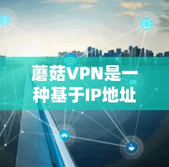 蘑菇VPN是一种基于IP地址的VPN服务，主要用于远程会议、文件传输等。以下是关于蘑菇VPN手机端的详细介绍