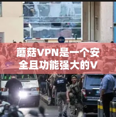蘑菇VPN是一个安全且功能强大的VPN服务，主要针对移动互联网用户。以下是蘑菇VPN的主要版本及其特点、适合用户和使用成本