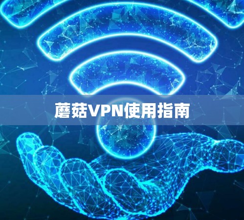 蘑菇VPN使用指南