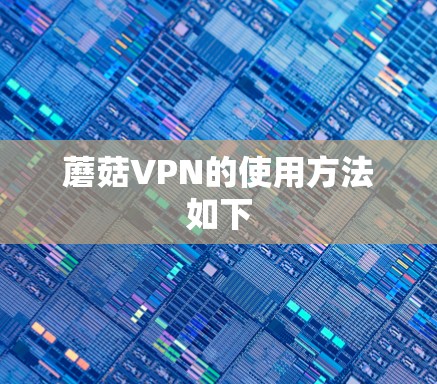 蘑菇VPN的使用方法如下