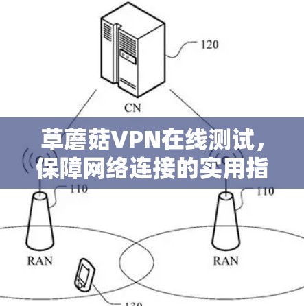 草蘑菇VPN在线测试，保障网络连接的实用指南